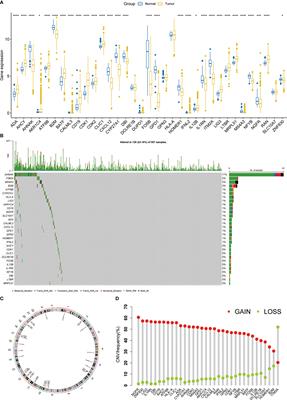 Construction and validation of a T cell proliferation regulator-related signature for predicting prognosis and immunotherapy response in lung adenocarcinoma